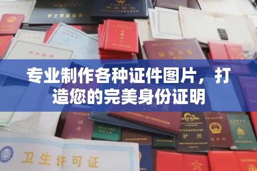 中沙专业制作各种证件图片，打造您的完美身份证明